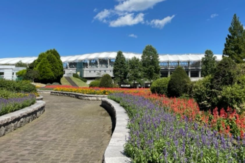 泉区ランニングクリニック