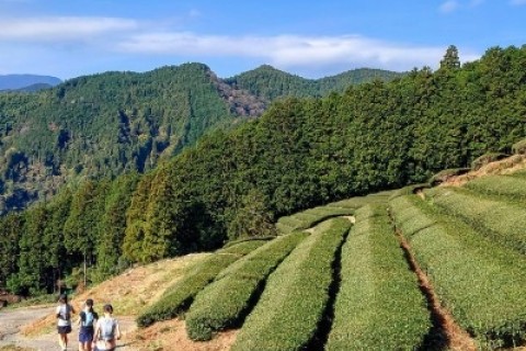 バイオロゲイニング2023