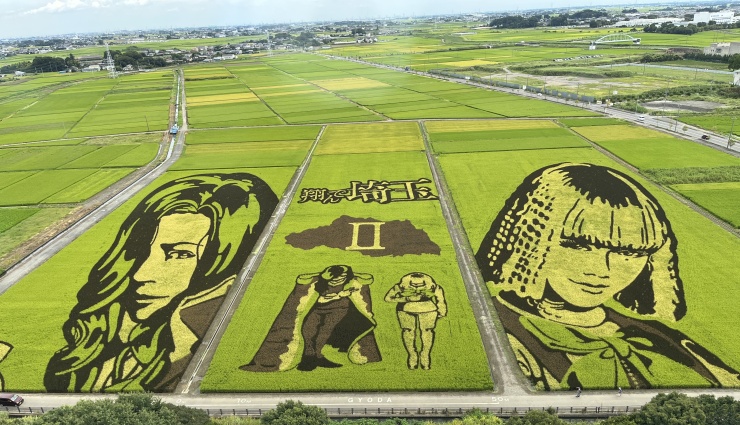 行田の田んぼアート