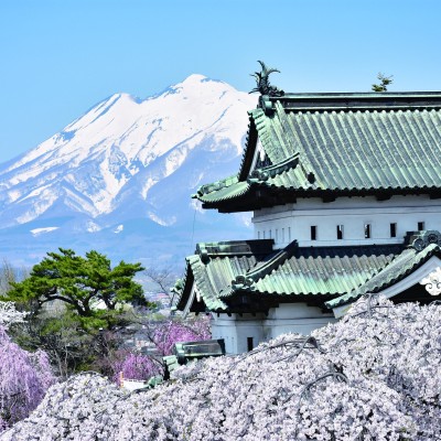 【お城マラソン】弘前・白神アップルマラソン