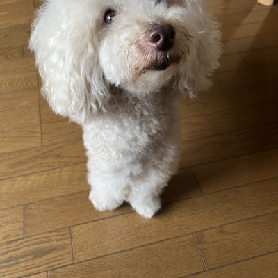 Tsurucoさん