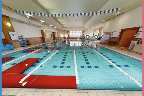 朝スイム メガロス本八幡