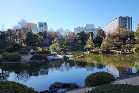 2023年11月　都内秋探しマラニック