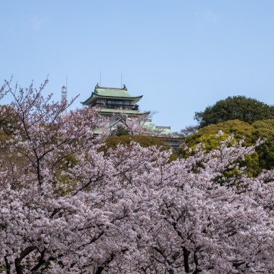 【お城マラソン】小牧シティマラソン大会