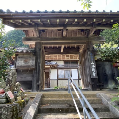 【お城マラソン】あやべ水源の里トレイルラン