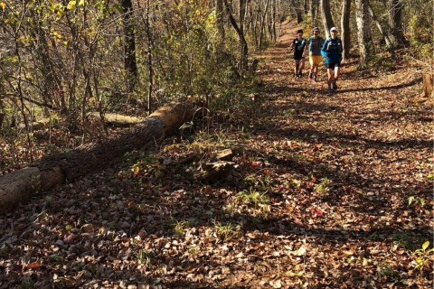 ITAトレイルランニング【Iwanuma to Ayashi】