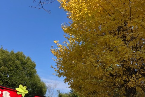 とちキッズCUP in みずほの自然の森公園