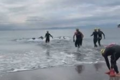 第１回 ATHLONIA オーシャンスイムチャレンジ