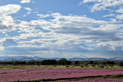 川の国さいたまロゲイニング大会 ~川幅日本一編~