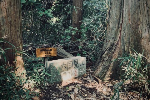 【ランチ付き】TFMK vol.1　鎌倉の五山を巡る