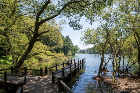 川の国さいたまロゲイニング大会 ~川幅日本一編~