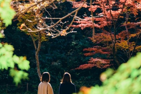 【12/2（午後の部）】電動キックボードで紅葉の秋川渓谷を巡る！LUUPで裏道探検＆水辺体感ツアー