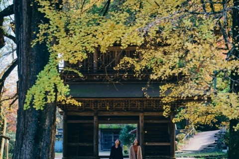 【12/2（午後の部）】電動キックボードで紅葉の秋川渓谷を巡る！LUUPで裏道探検＆水辺体感ツアー