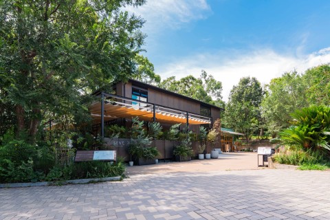 鳥取市Presents 大健康チャリティーウオークin千里中央公園