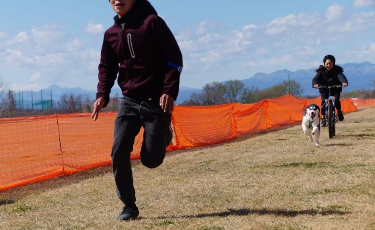 バイクジョアリング：チャレンジ