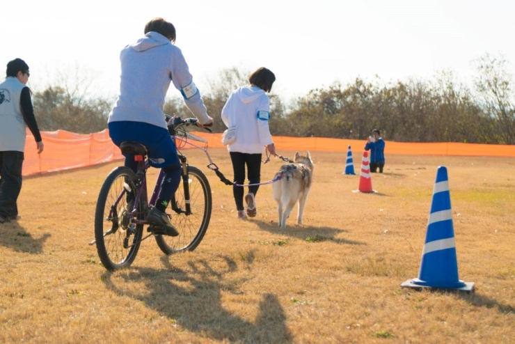 バイクジョアリング：レクチャー