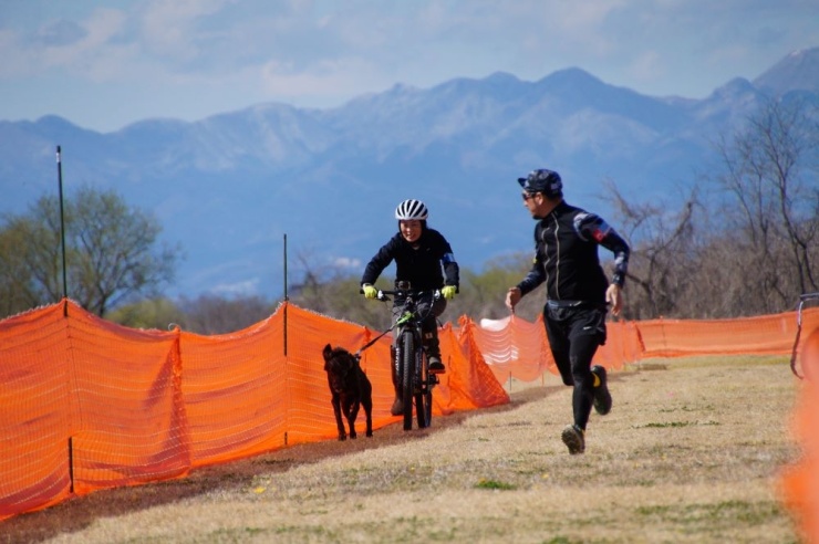 バイクジョアリング：チャレンジ