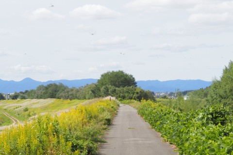 ウォークdeフルマラソン2024 in すかがわ＋RUN