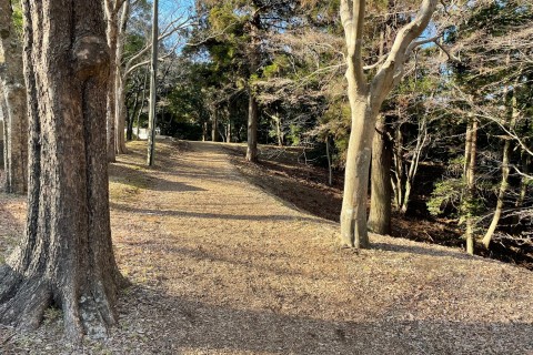 ニッポンランナーズ佐倉　水曜日練習会