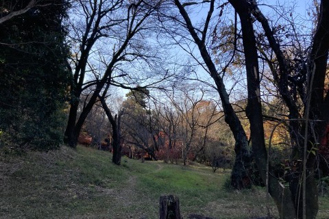 2024年3月　多摩湖春さがしマラニック