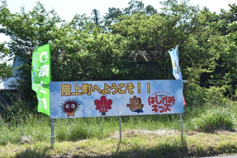 第33回はしかみつつじマラソン大会