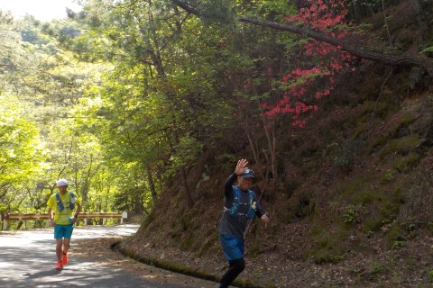 なかばトレイル 阿讃