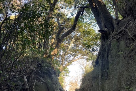RUNPOYA逗子トレイルランニング15km