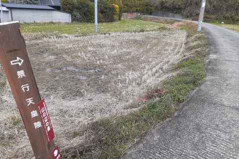 山の辺の道マラニック【奈良マラソンRUNプロジェクト】