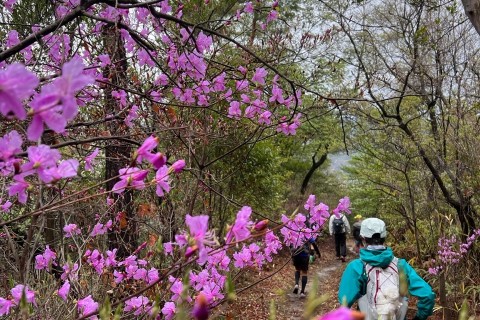 正木山・鍵山トレイルラン　ショートコース試走会