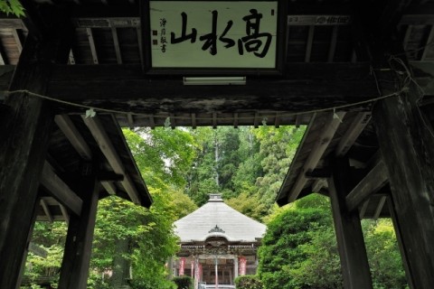 青梅高水国際トレイルラン30km試走