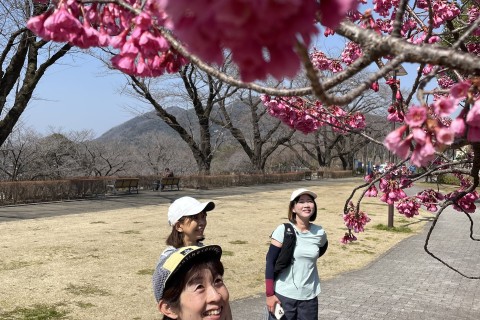 5名限定！【初級/初心者】Fun Fun Run 10Km