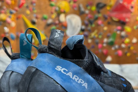 【未経験者・初心者・お子様大歓迎！】ボルダリングをやってみよう！