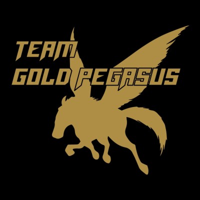 【てんまやRUN】TEAM GOLD PEGASUS　第５期
