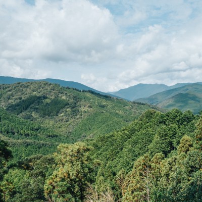 【グラベルでまんぷく】コース