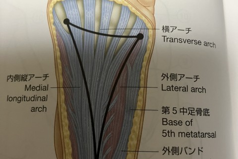 【満員御礼！金沢市開催・GW限定】現状で満足しないフォーム改良のパーソナルランニング