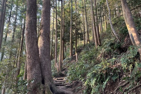 7trails「Onトレイルシューズ試し履き at 飯盛山」