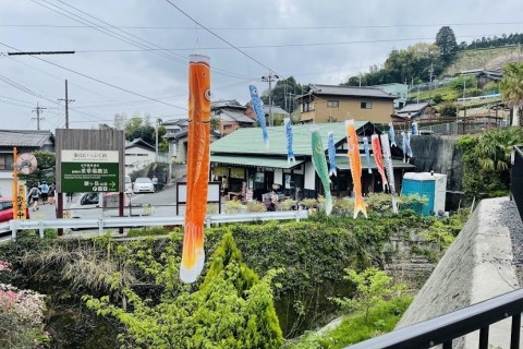 【朝活】rierun粟ヶ岳トレランイベント