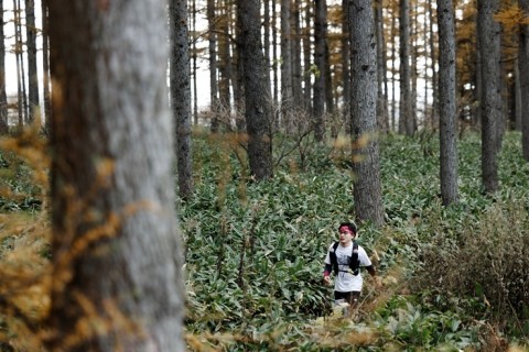 ゴールデンラーチトレイルトリップツアー