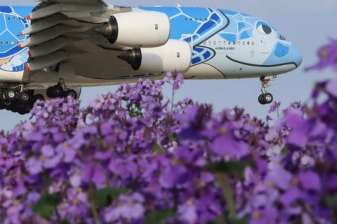 【旅ラン1泊2日初心者向け】成田•富里旅ランツアー~走食見満~