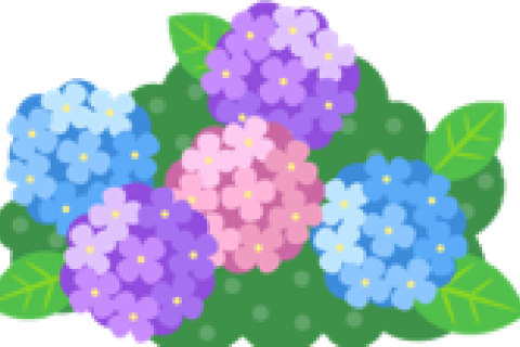 2024年6月　渋川クロスカントリー　あじさいプチ大会