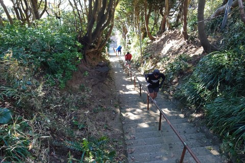 タッキーの鎌倉峠インターバル