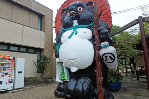 ≪ランde観光≫★日本遺産★焼き物の町と伊賀越えの城！芸術と歴史の旅＠信楽（桜）【レベル3】観光ラン