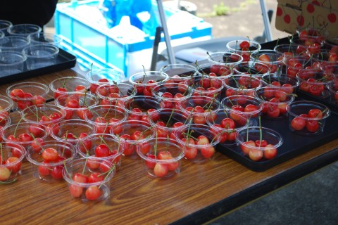 寒河江さくらんぼウォーク2024