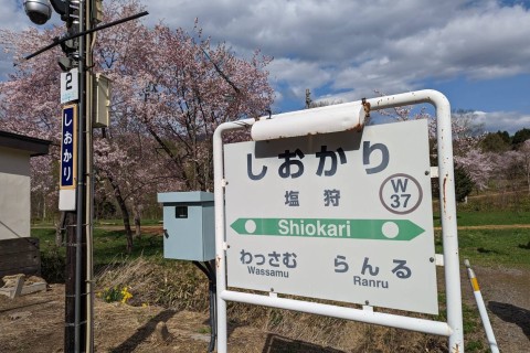 旭川〜塩狩峠さくら43Kマラニック