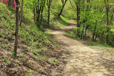 マラソン完走スクール　クロスカントリー６０分エンデューロ～夏～