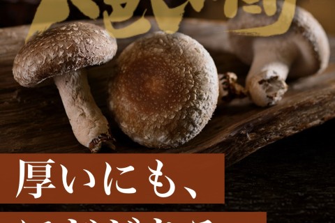 【旅ラン初心者向け】新潟•南魚沼旅ランツアー~走食見満~