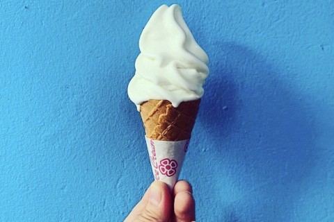 【Adop + Re.Ra.Ku コラボ街ラン 】アイス・ジェラートラン