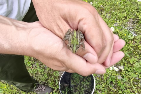 バイオロゲイニング2024