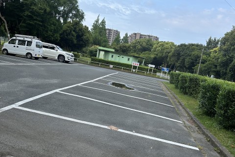 rierun浜松街中プロギング