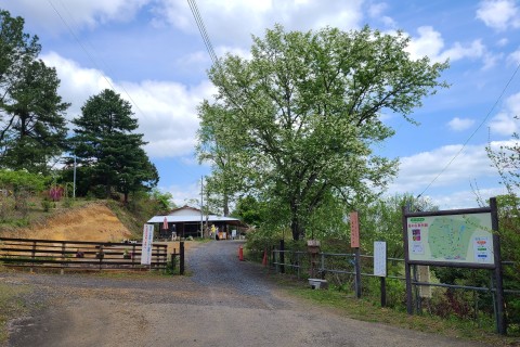 マラソン完走スクール　クロスカントリー６０分エンデューロ～夏～